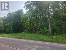 12577 Loyalist Parkway Ne, Prince Edward County, ON K0K2T0 Photo 13