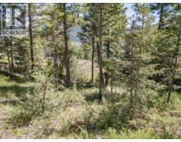 Copper Point Way Lot# 59, Windermere, BC V0A1K3 Photo 16
