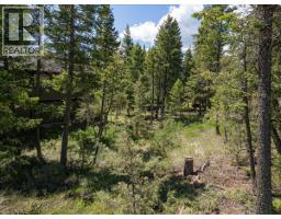 Copper Point Way Lot# 59, Windermere, BC V0A1K3 Photo 18