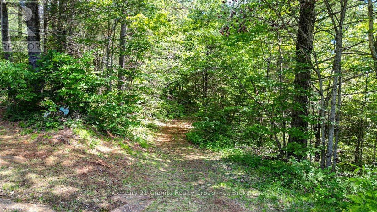 24224 62 HIGHWAY - Image 42