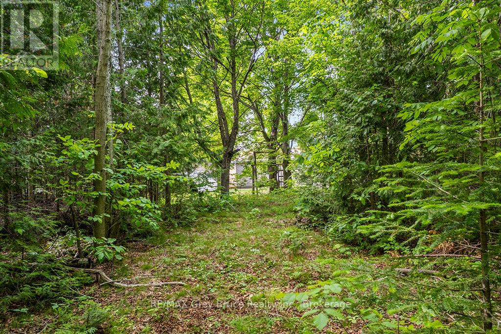 335 PIKE BAY ROAD - 29