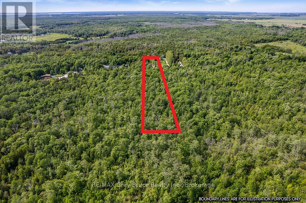 335 PIKE BAY ROAD - 38
