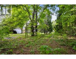 335 Pike Bay Road, Northern Bruce Peninsula, ON N0H1X0 Photo 30