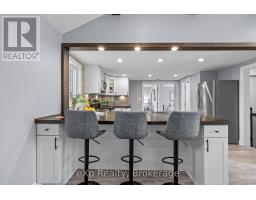 236 Sydenham Street, Strathroy Caradoc, ON N7G1V3 Photo 9