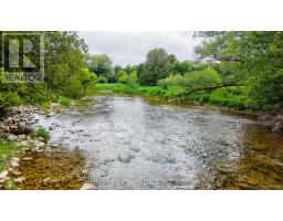 211269 Baseline Road, West Grey, ON N0G1M0 Photo 48
