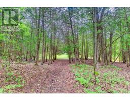 211269 Baseline Road, West Grey, ON N0G1M0 Photo 39