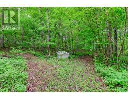 211269 Baseline Road, West Grey, ON N0G1M0 Photo 40