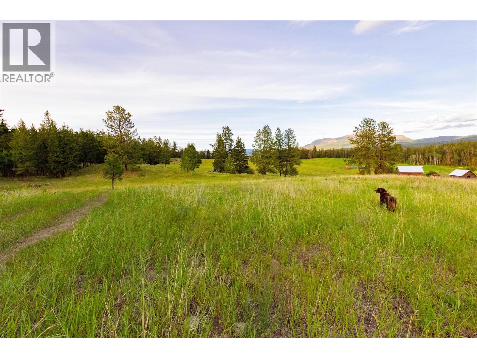 3685 Duck Range Road - 52