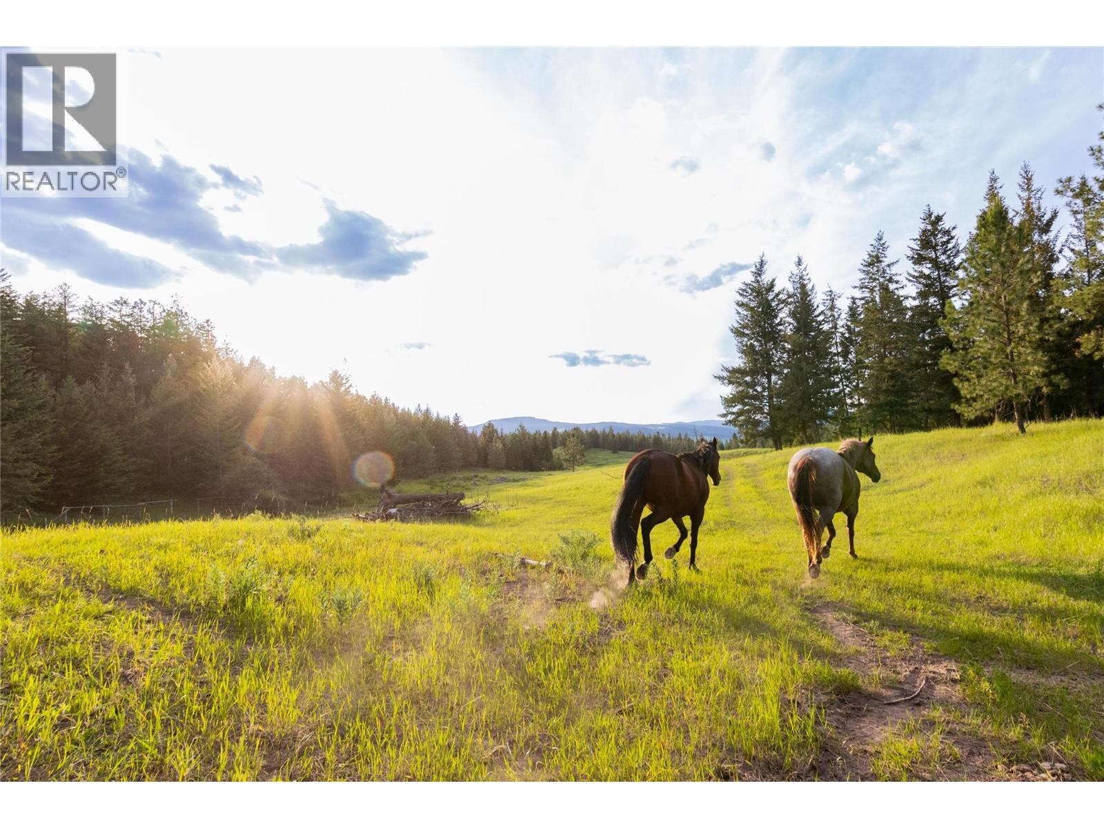 3685 Duck Range Road - 51