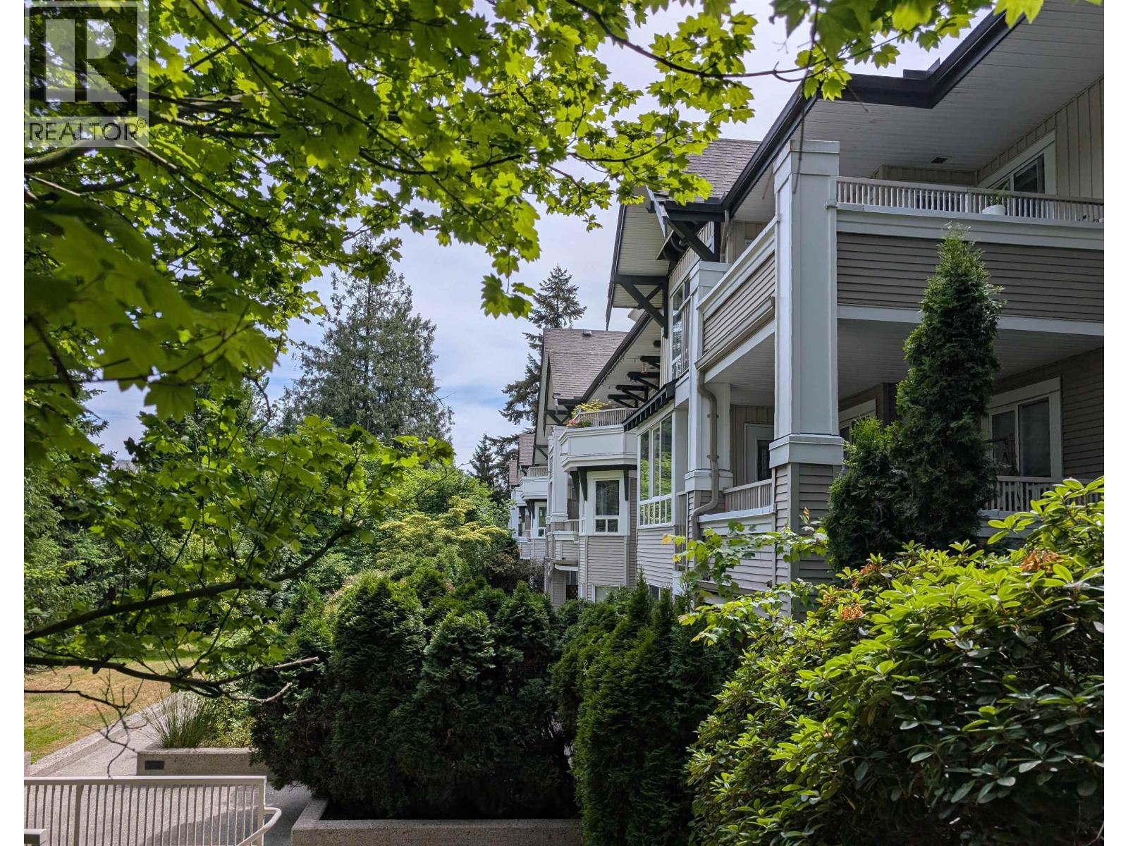 Thumbnail 15