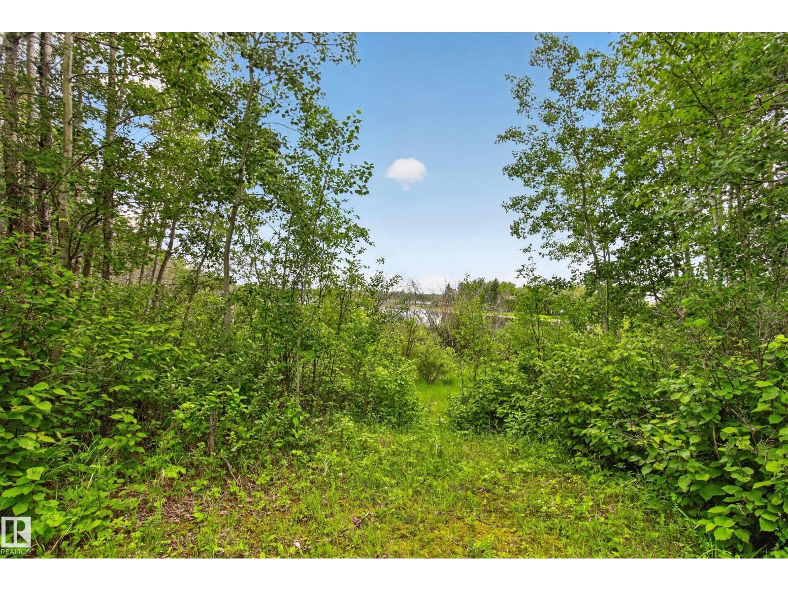 #350 52343 RGE ROAD 211 — photo 46
