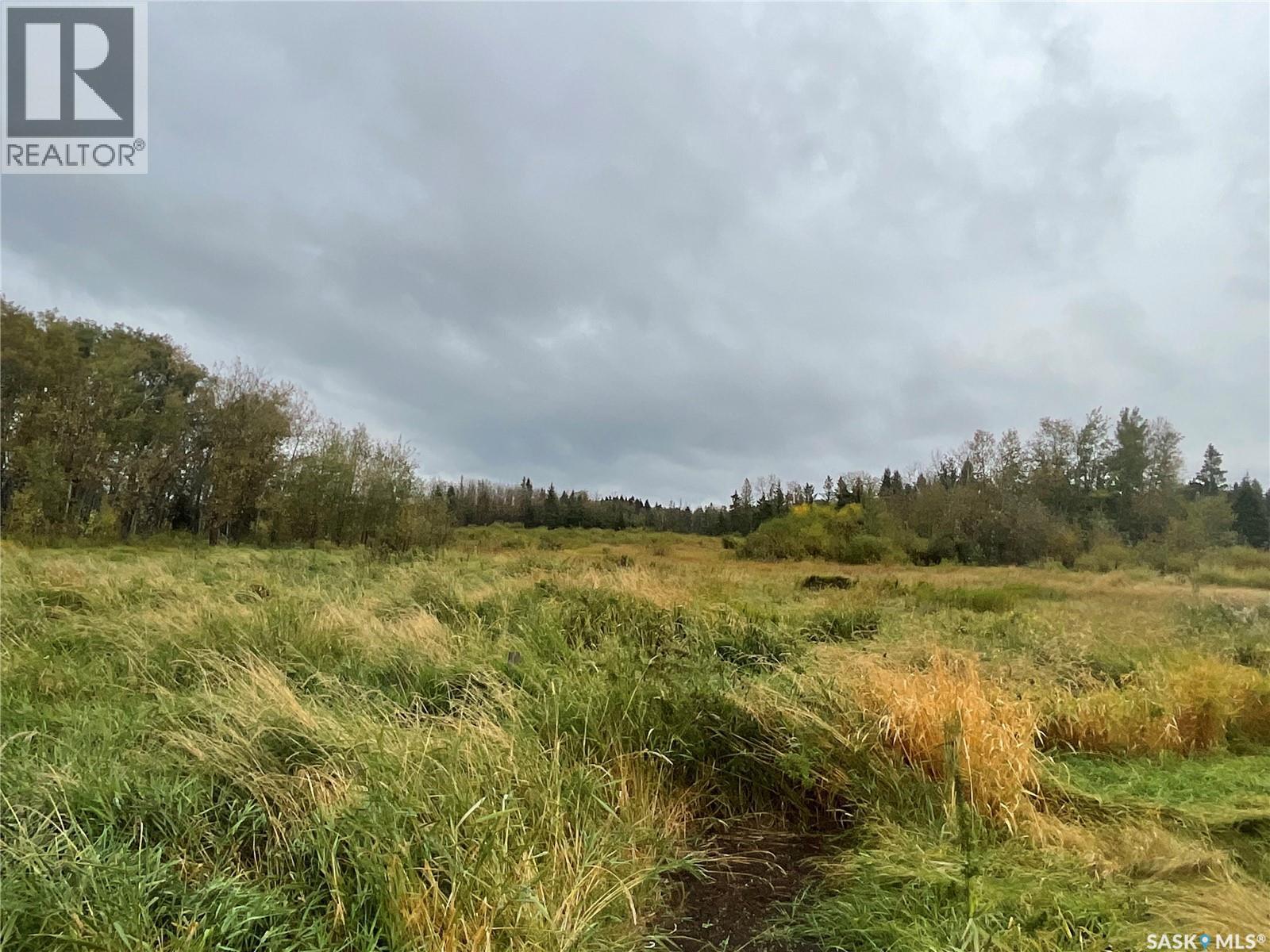 Picard Acreage - 22