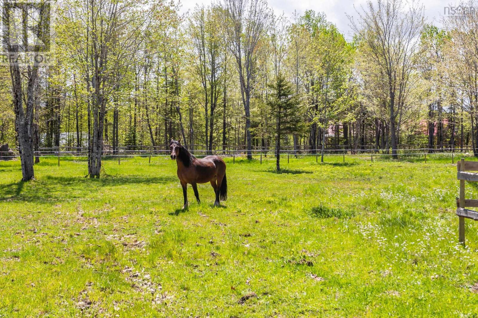 278 Fitch Road - 12