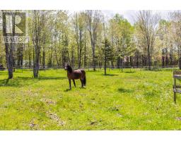 278 Fitch Road, Clarence East, NS B0S1M0 Photo 12
