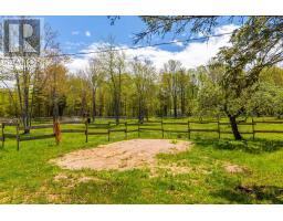 278 Fitch Road, Clarence East, NS B0S1M0 Photo 44