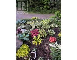 144 Trebinski Road, Madawaska Valley, ON K0J1B0 Photo 36