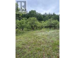 144 Trebinski Road, Madawaska Valley, ON K0J1B0 Photo 47