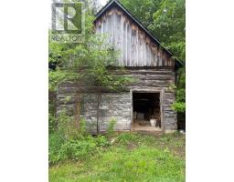 144 Trebinski Road, Madawaska Valley, ON K0J1B0 Photo 37