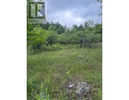 144 Trebinski Road, Madawaska Valley, ON K0J1B0 Photo 50