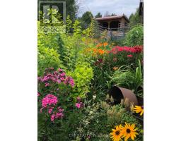144 Trebinski Road, Madawaska Valley, ON K0J1B0 Photo 40