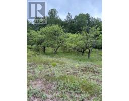 144 Trebinski Road, Madawaska Valley, ON K0J1B0 Photo 49