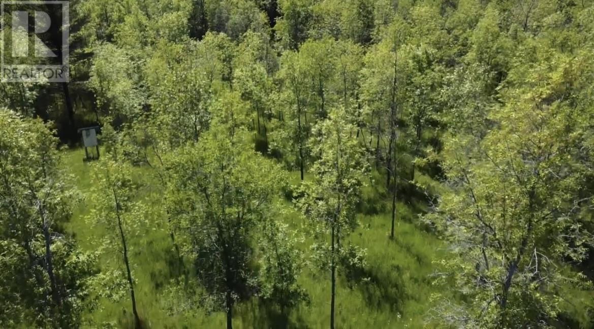 33 Carter Crescent, Kagawong — photo 2