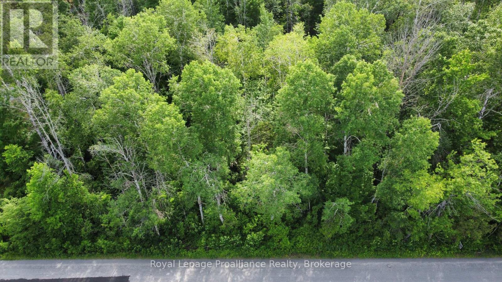 0 Teal (RP 39R9098) Road, Quinte West (Murray Ward), Ontario, K0K3M0, Quinte West (Murray Ward), Ontario — photo 4 of 5