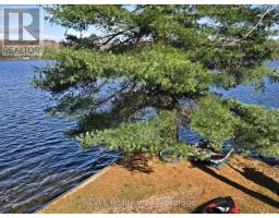 Primary Bedroom - 1031 Butterfly Road, Muskoka Lakes, ON P0C1A0 Photo 6