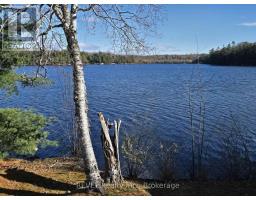 Bedroom 2 - 1031 Butterfly Road, Muskoka Lakes, ON P0C1A0 Photo 7