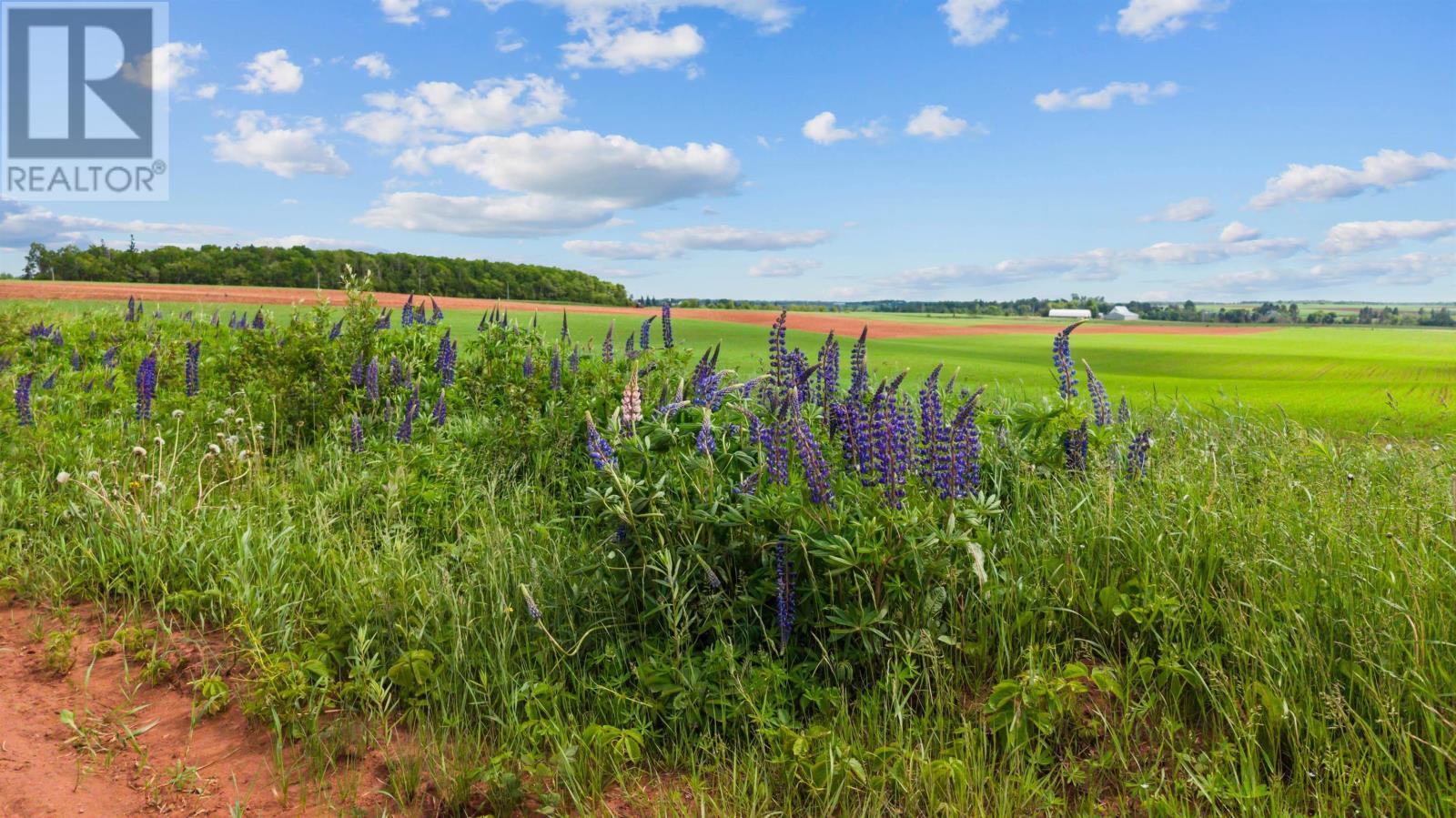 362 Mount Tryon Road - 3