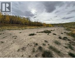 206 Road Lot# 3, Dawson Creek, BC V1G0C2 Photo 6