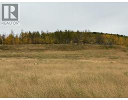 206 Road Lot# 3, Dawson Creek, BC V1G0C2 Photo 11