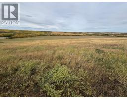 206 Road Lot# 3, Dawson Creek, BC V1G0C2 Photo 9