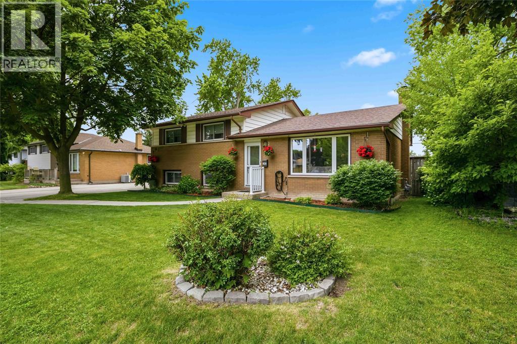 197 BORDEN STREET - 2