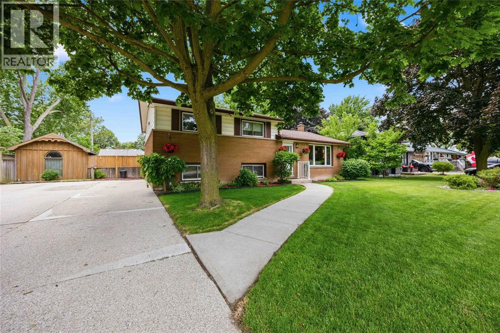 197 BORDEN STREET - 3