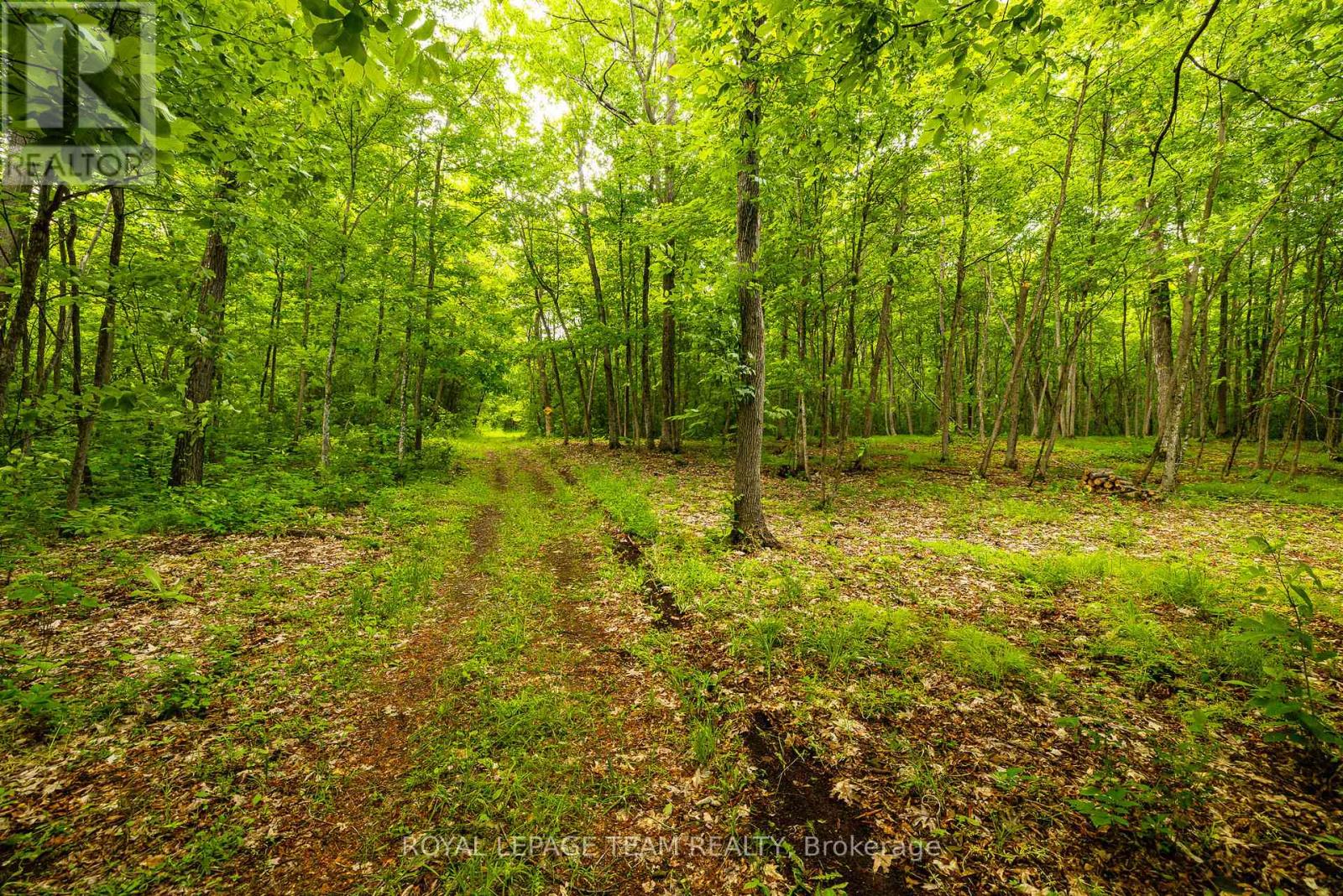 1142 COUNTY ROAD 43 ROAD - 47