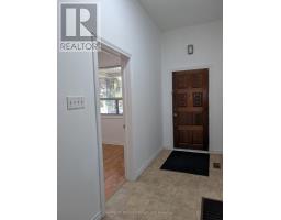 Laundry room - 119 Major Street, Toronto, ON M5S2K9 Photo 8
