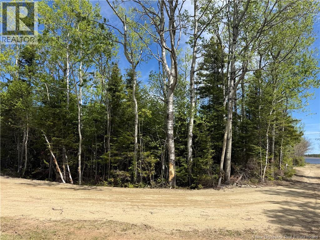 990 m2 Allée Abbé Pointe, Shippagan — photo 2