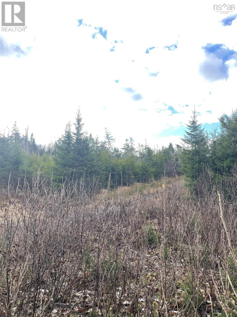 Property 16 of 20 of Lot 21-2 West Liscomb Point Road