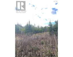 Lot 21-2 West Liscomb Point Road, West Liscomb, NS B0J2A0 Photo 16