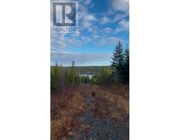 Lot 21-2 West Liscomb Point Road, West Liscomb, NS B0J2A0 Photo 20