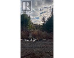 Lot 21-2 West Liscomb Point Road, West Liscomb, NS B0J2A0 Photo 19
