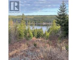 Lot 21-2 West Liscomb Point Road, West Liscomb, NS B0J2A0 Photo 8