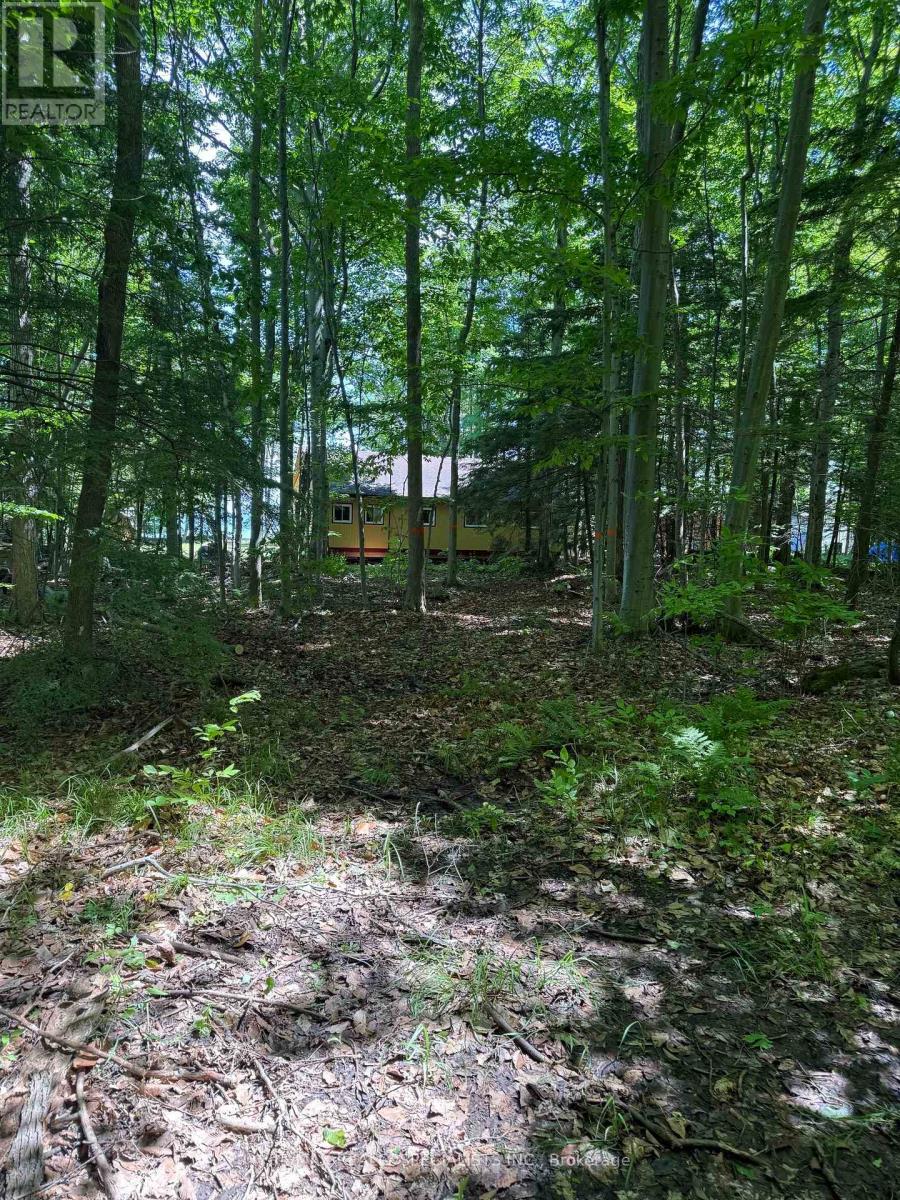 LOT 238 SNAKE ISLAND - 43