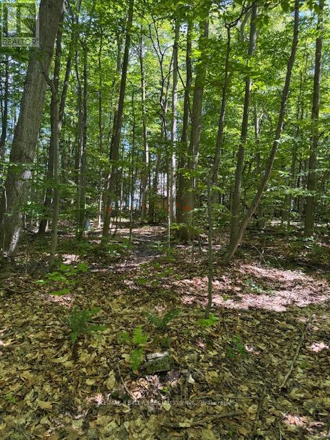 LOT 238 SNAKE ISLAND - 44