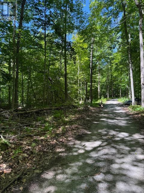 LOT 238 SNAKE ISLAND - 45