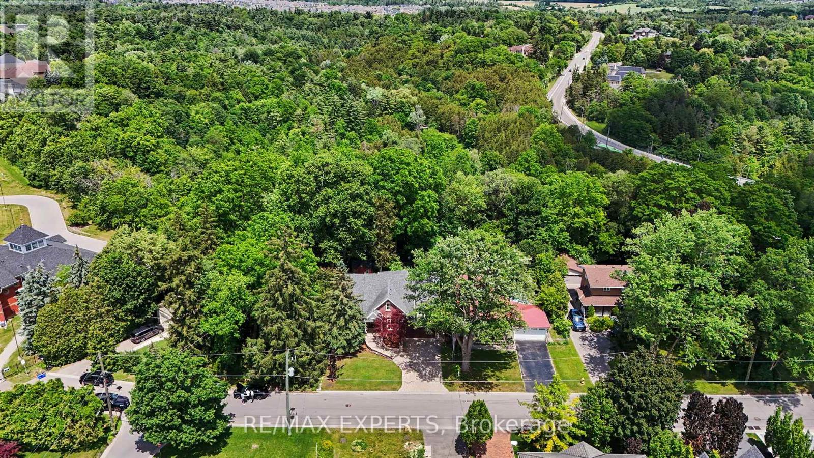 91 NAPIER STREET - 46