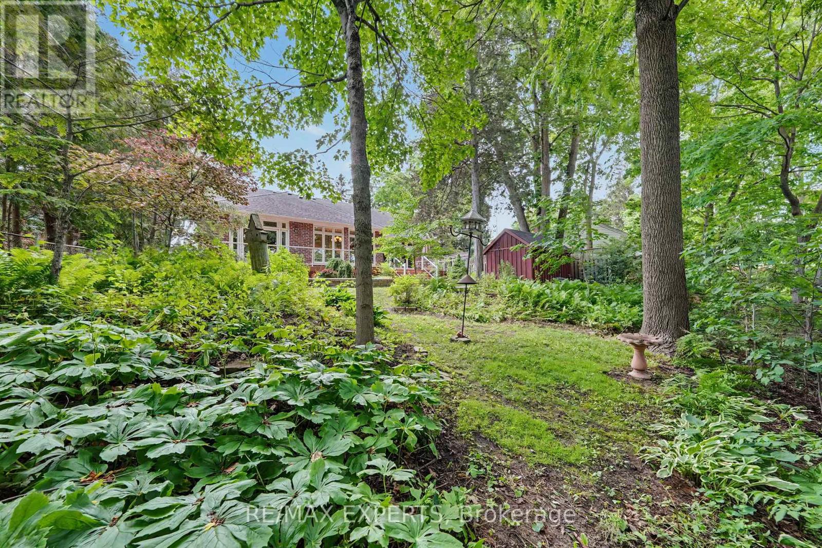91 NAPIER STREET - 38