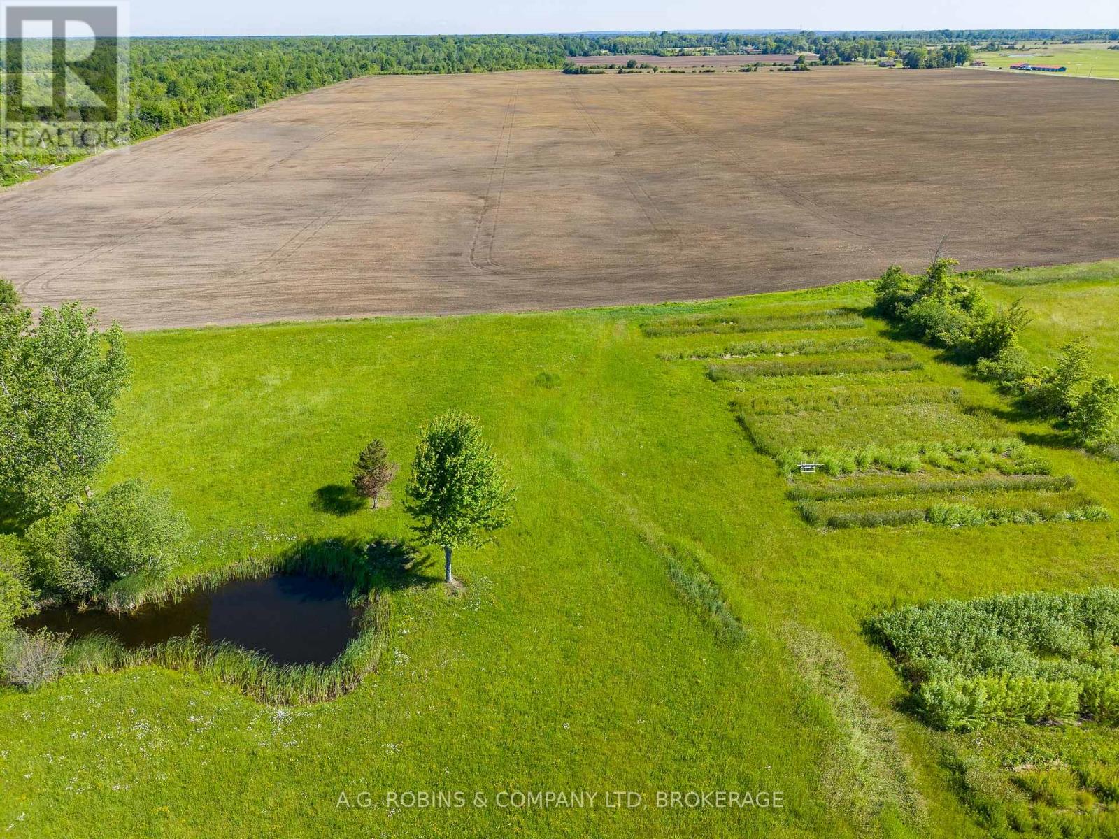 11716 LAKESHORE ROAD - 38