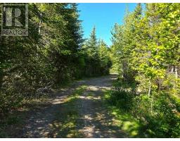 251 Bayview Drive, Little Dyke, NS B0M1L0 Photo 10